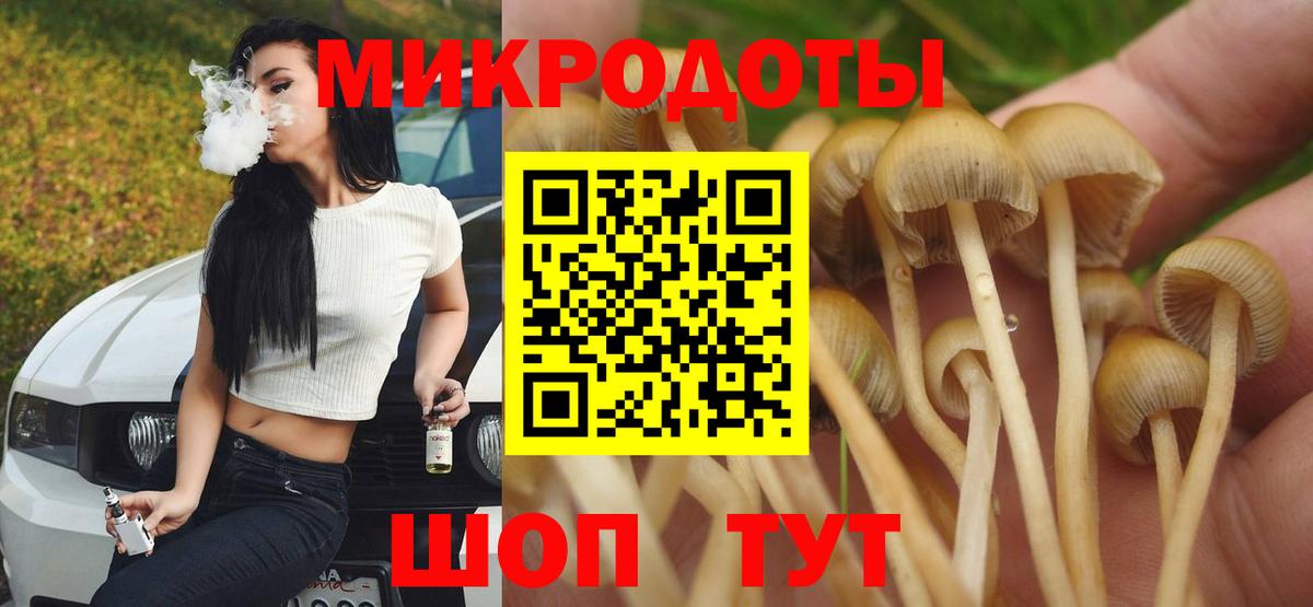 Псилоцибиновые грибы Psilocybe Долгопрудный
